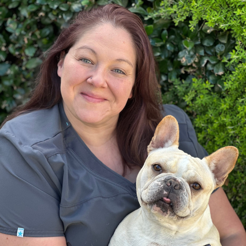 our-team-kokopelli-veterinary-center